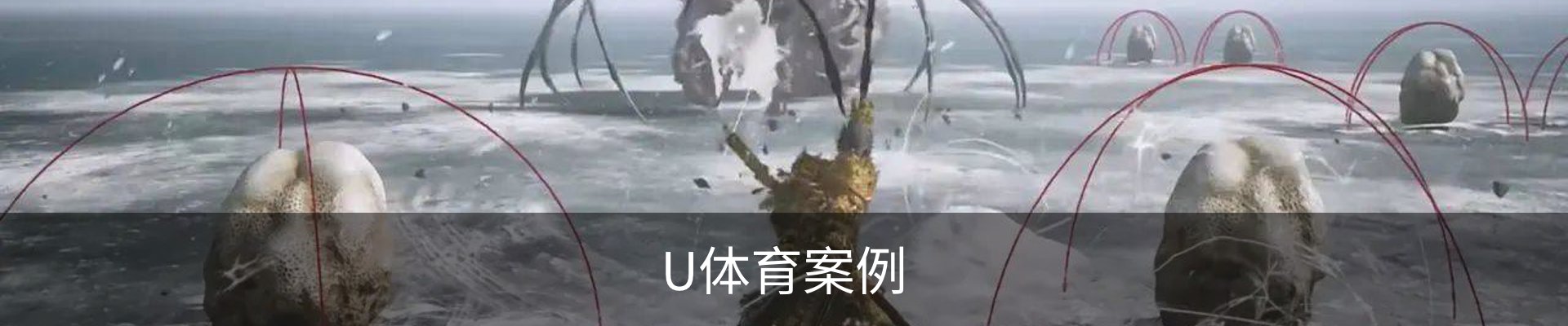 U体育案例